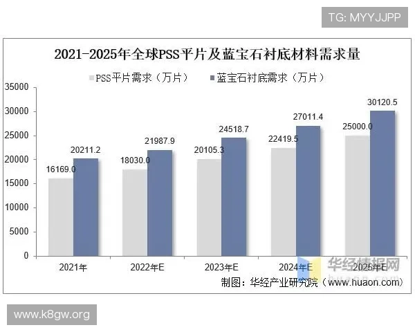 全面解析888真人集团：行业领军者的发展与未来趋势